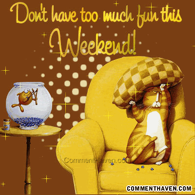 [img width=400 height=400]http://msp244.photobucket.com/albums/gg19/PaulaJane101/Daily%20Greetings/NotTooMuchFun.gif[/img]